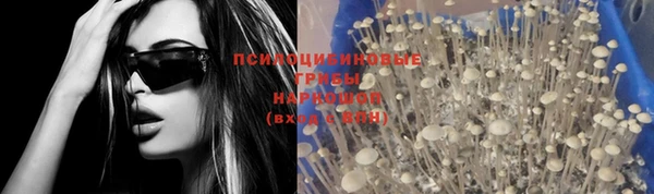 a pvp Зеленокумск